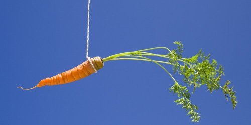 Ilmastopaneelin kepit ja porkkanat