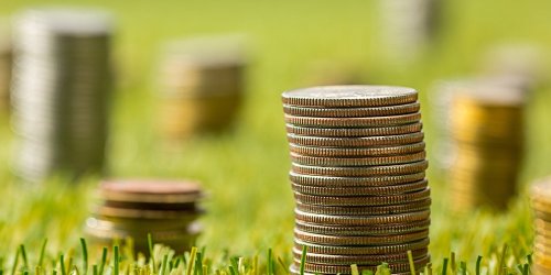 Suunnitelmatalous ei toimi ja omavaraisuus ei kannata