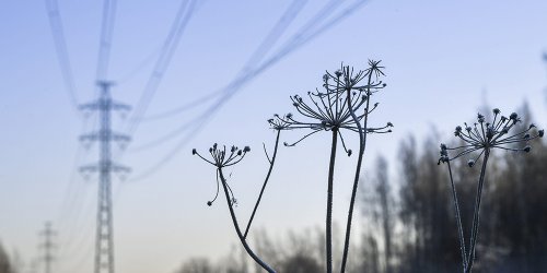Lunastuslain uudistuminen ja sähkönjakeluverkot