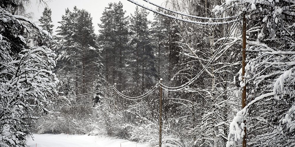 Hannes oli kallis myrsky