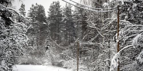 Hannes oli kallis myrsky