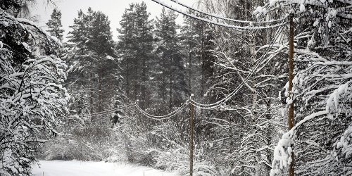 Hannes oli kallis myrsky